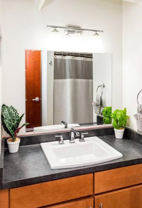 Apartamento Centric Modern Loft W/ King Beds Rochester Exterior foto